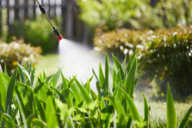 Tamper-Resistant Bait Stations for Rodents in West Long Branch