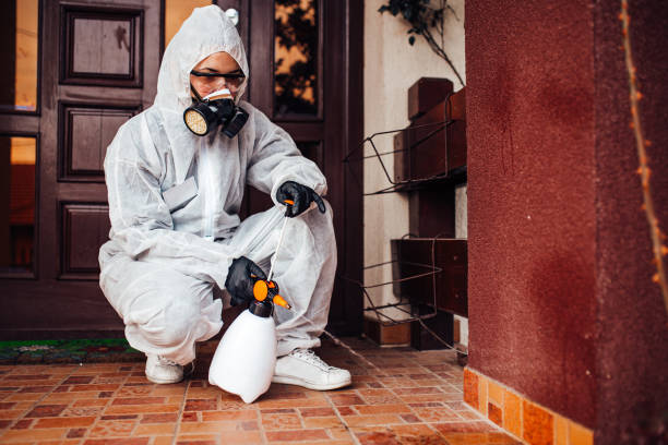 Attic and Crawl Space Rodent Treatment in West Long Branch