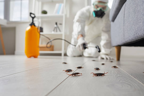 Commercial Rodent Management in West Long Branch